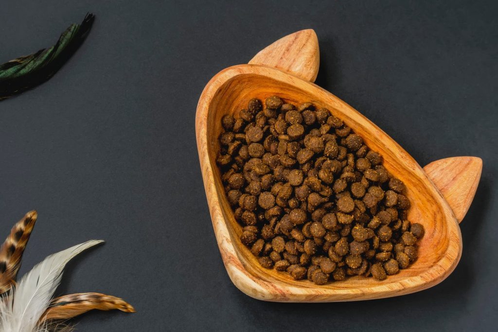 Dry cat food in a wooden bowl in the shape of a cat and a toy teaser with feathers